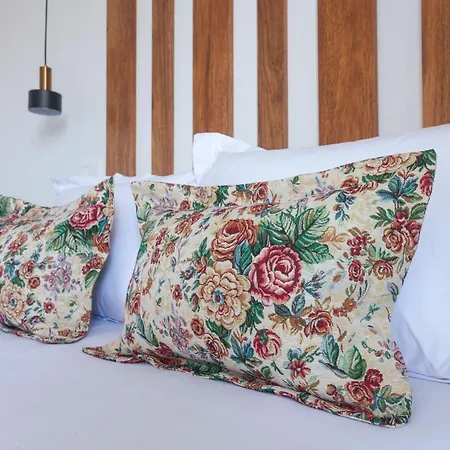 Alojamento de Turismo Rural Casa Dos Romeiros Santa Bárbara