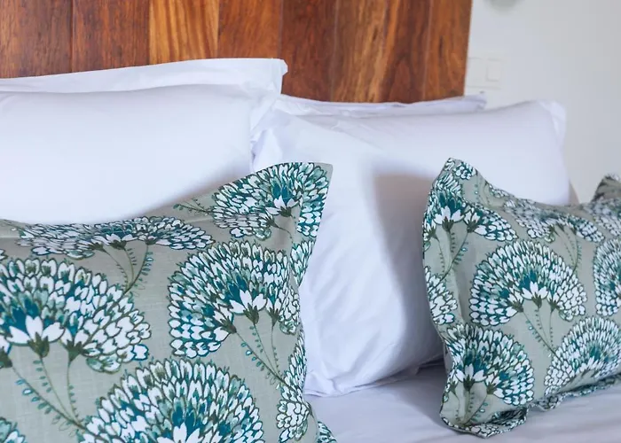 Agroturismo Casa Dos Romeiros *